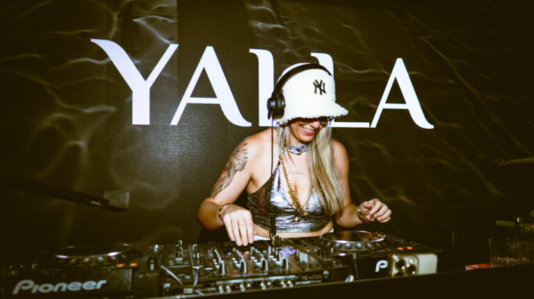 IMG 8678 2 3 768x431